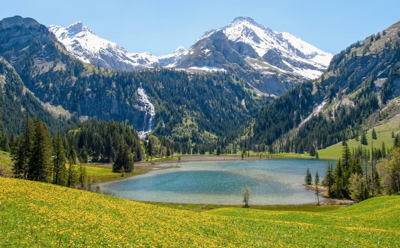 Hotel Alpenland Гштад Экстерьер фото